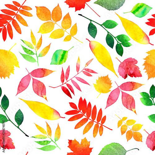 Vector watercolor autumn leaves collection in brught color. seamless pattern. photo