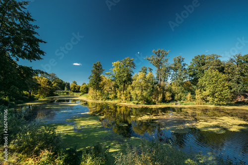 Landscape With Lake Pond River At Summer Sunny Day. Nature Of Belarus