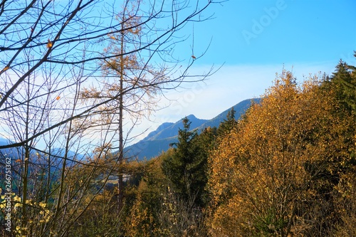 Herbstliche Waldlandschaft an einem sonnigen Tag | Gebirge im Hintergrund