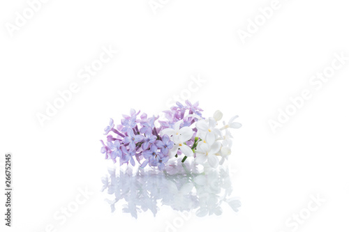 spring blooming bouquet of lilac isolated on white