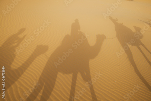 Shadows of Camels Sand Dunes Sahara Desert Merzouga Morocco