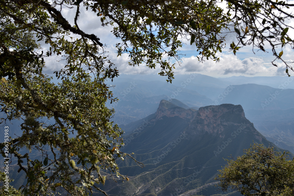 Sierra Gorda