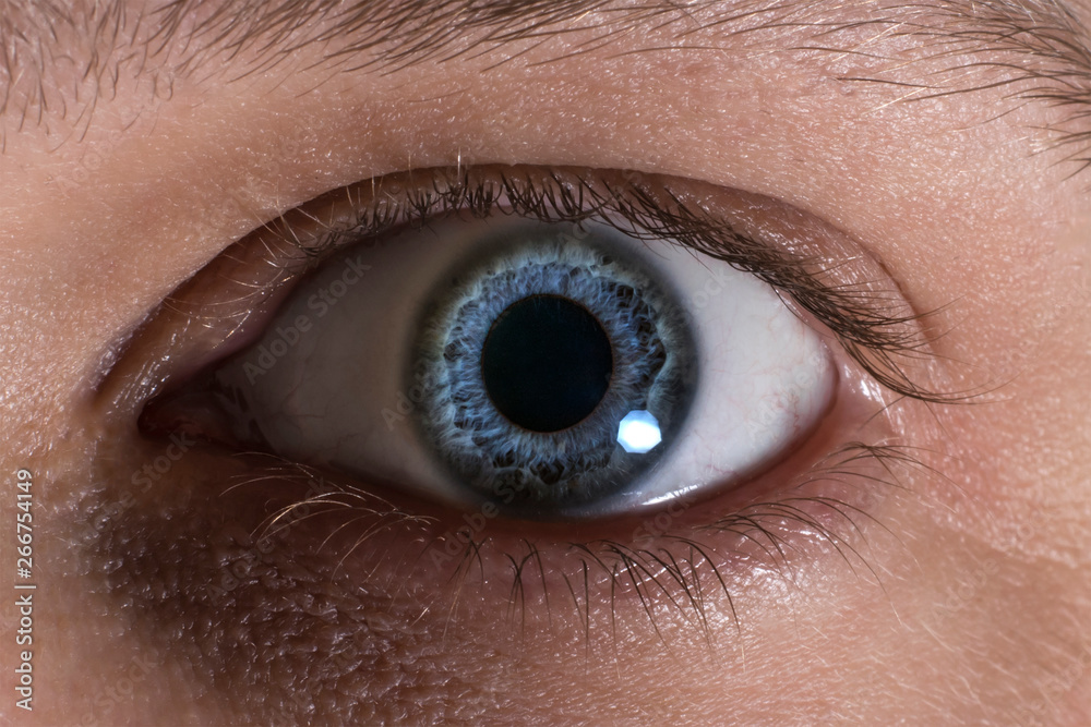 Obraz premium Mein Auge