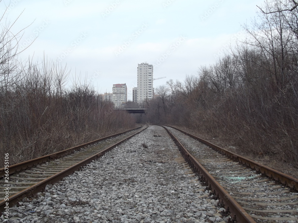 Fototapeta premium railway tracks in fog