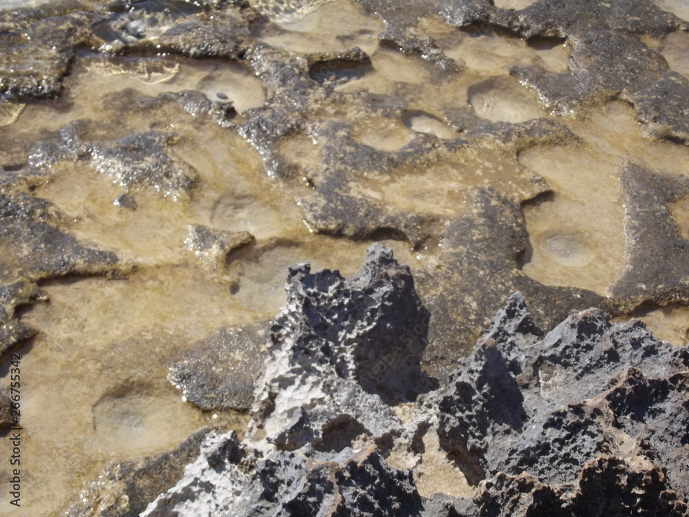 rocks in the water rocks in the water