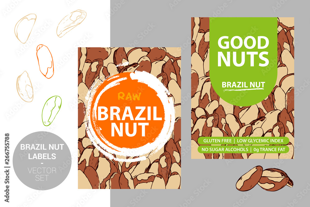 Brazil nuts labels with brush stroke elements and cartoon drawn nut
