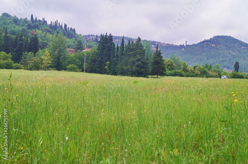 Meadows in the surroundings of Ponte a Mensola, Florence, Tuscany, Italy © sansa55