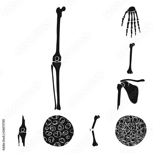 Vector illustration of biology and medical icon. Collection of biology and skeleton vector icon for stock.