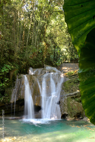 Cascada Xilitla