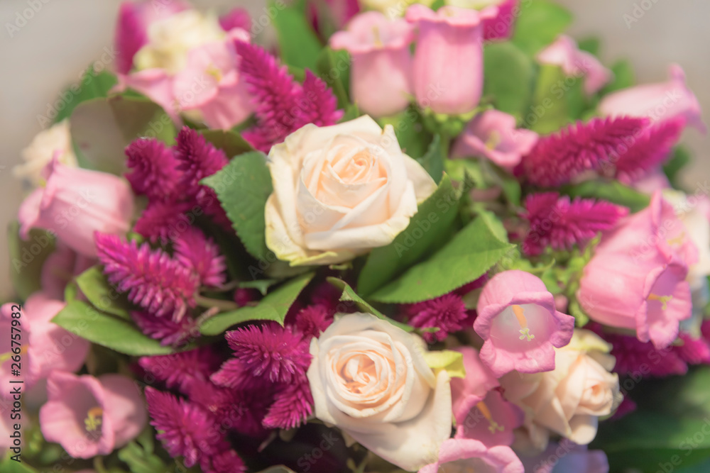 Soft color Roses and campanula background Soft color Roses and campanula background