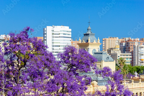 View of Malaga in a beautiful spring day, Spain