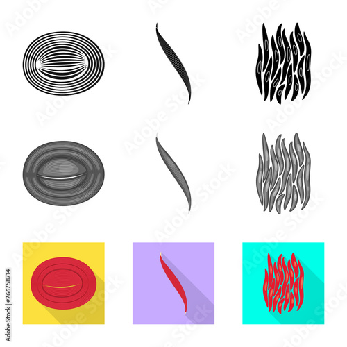 Isolated object of fiber and muscular sign. Set of fiber and body  vector icon for stock.