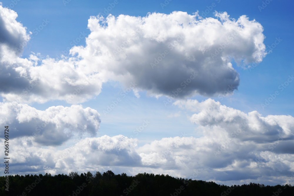 sky with dramatic clouds over treetops - nature background with copy space sky with dramatic clouds over treetops - nature background with copy space