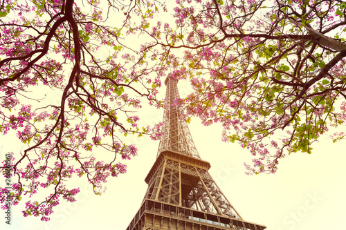 Eiffel tower icon with spring blooming flowers in vintage style