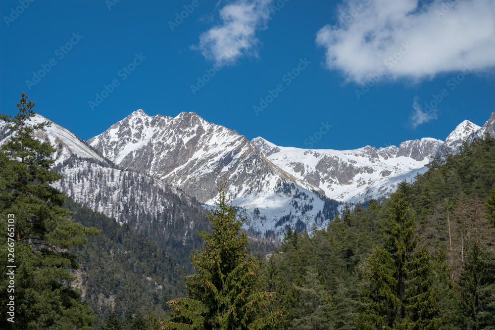 Mercantour national park, France