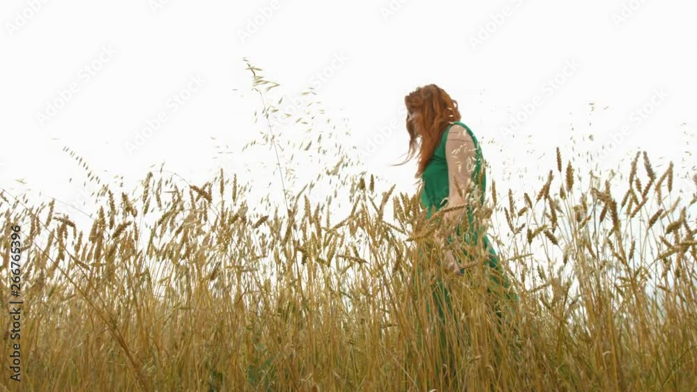 Walk in the mature field. Slow motion. A beautiful red-haired girl in a green dress is walking along the yellow field (oats and wheat). She smiles. The camera moves next to her. Bottom view. Walk in the mature field. Slow motion. A beautiful red-haired girl in a green dress is walking along the yellow field (oats and wheat). She smiles. The camera moves next to her. Bottom view.