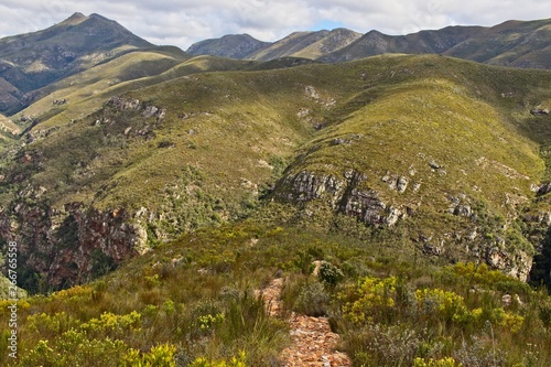 Strydomsberg Peak in the Groendal Nature Reserve near Port Elizabeth, South Africa. 