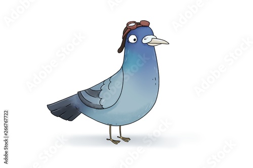 postal pigeon watercolor illustration