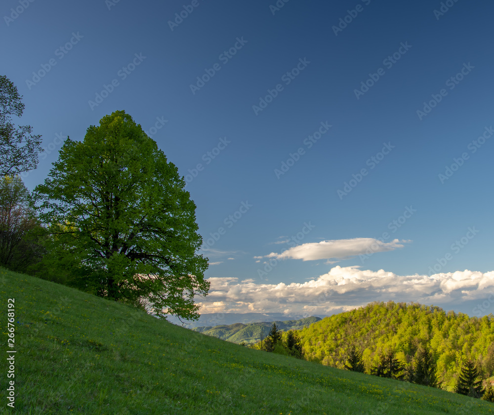 Landscape in Spring time with sky and forest. With beautiful green fresh leaves on the trees. There are area with shadows and in the distance of the photo are areas with sun. Landscape in Spring time with sky and forest. With beautiful green fresh leaves on the trees. There are area with shadows and in the distance of the photo are areas with sun.