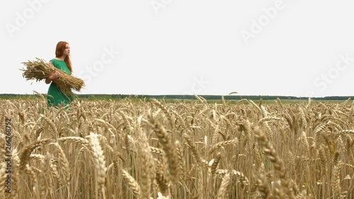 Walk on the wheat field.  Slow motion. A pretty young girl in a green dress is walking along the field with an armful of ripe wheat.  She stops and smiles. The camera moves from left to right.
