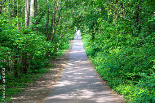 A Long Way To The Nature