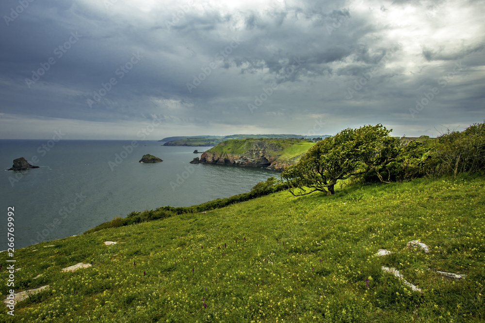 Berry Head nature reserve