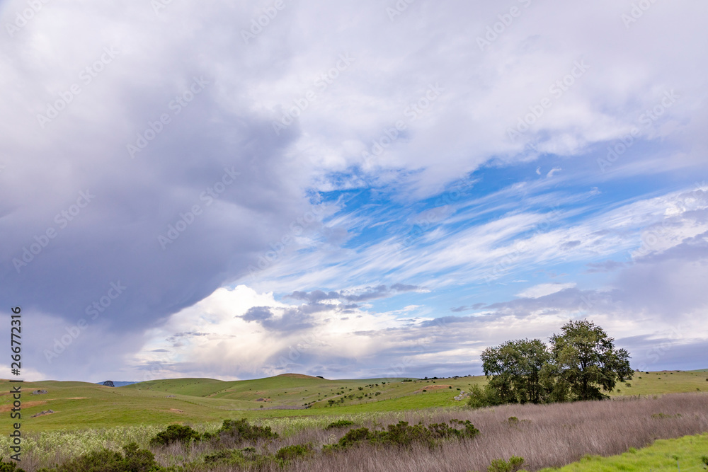scenic landscape at Cabrillo highway with meadows and scenic sky scenic landscape at Cabrillo highway with meadows and scenic sky
