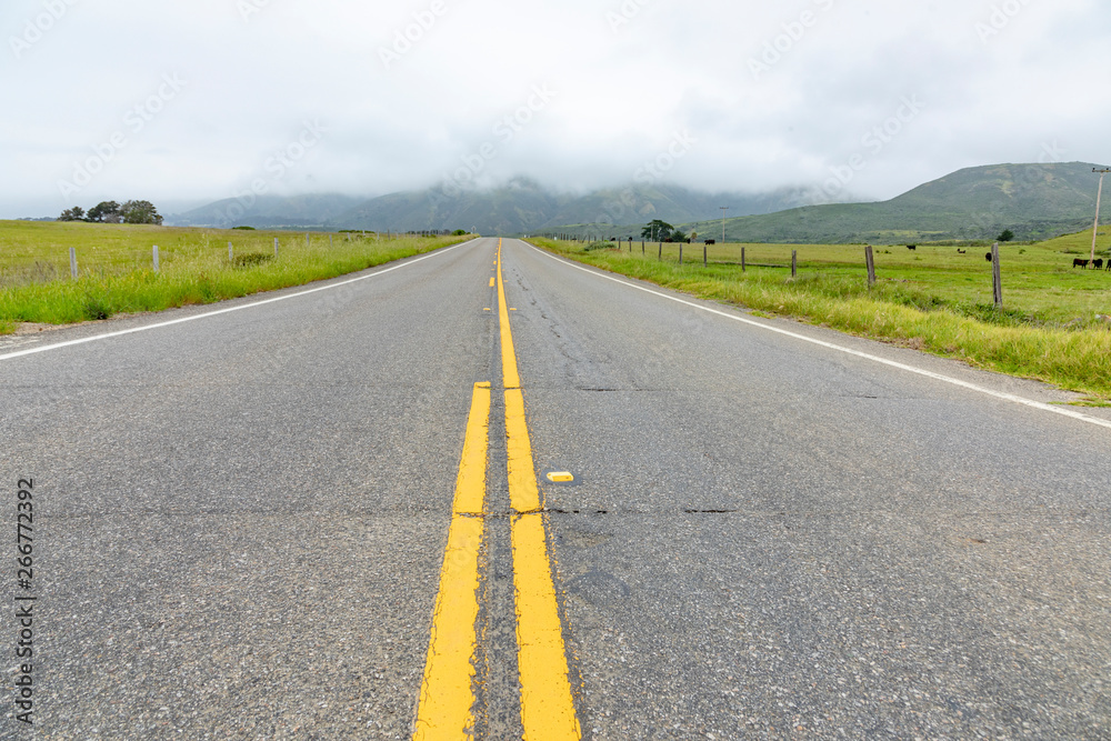 Fototapeta premium detail of cabrillo highway with yellow median stripe in California