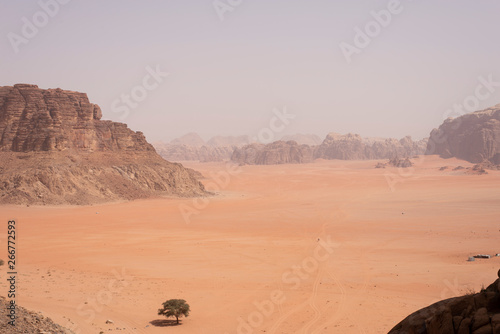 A tree standing in vast desert