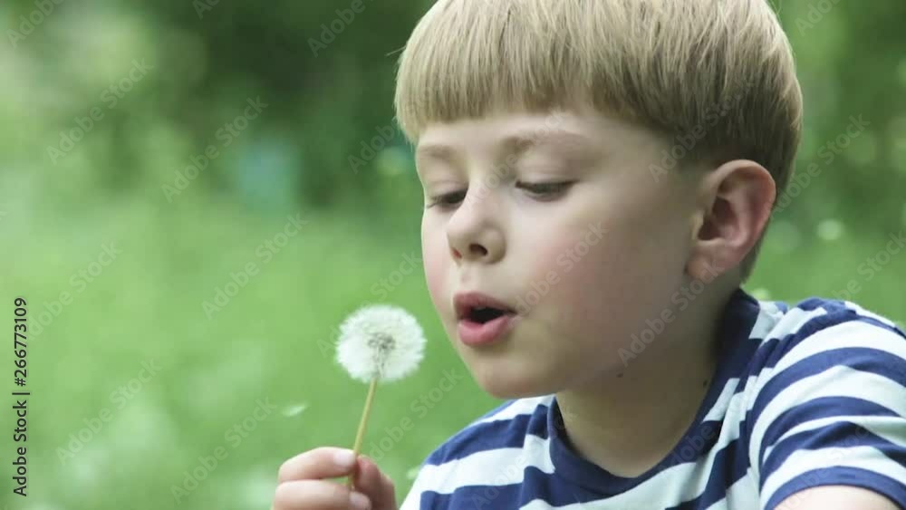 Cute little child playing on the meadow. Funny boy blowing at the dandelion. Careless childhood. Cute little child playing on the meadow. Funny boy blowing at the dandelion. Careless childhood.