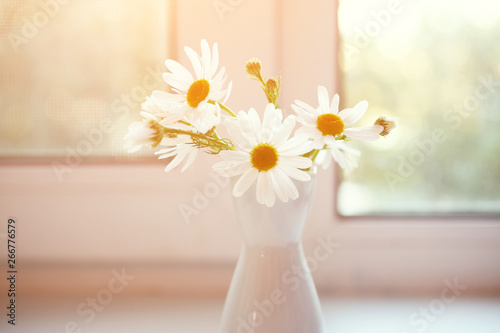 A bouquet of chamomiles in a white vase on a windowsill on a rainy day