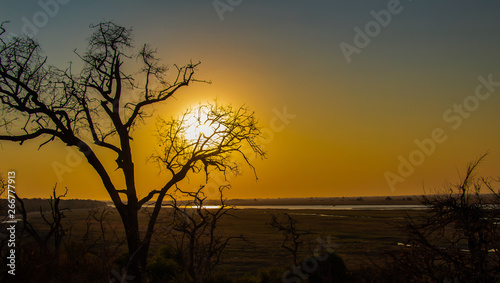 Abend im Okavango Delta photo