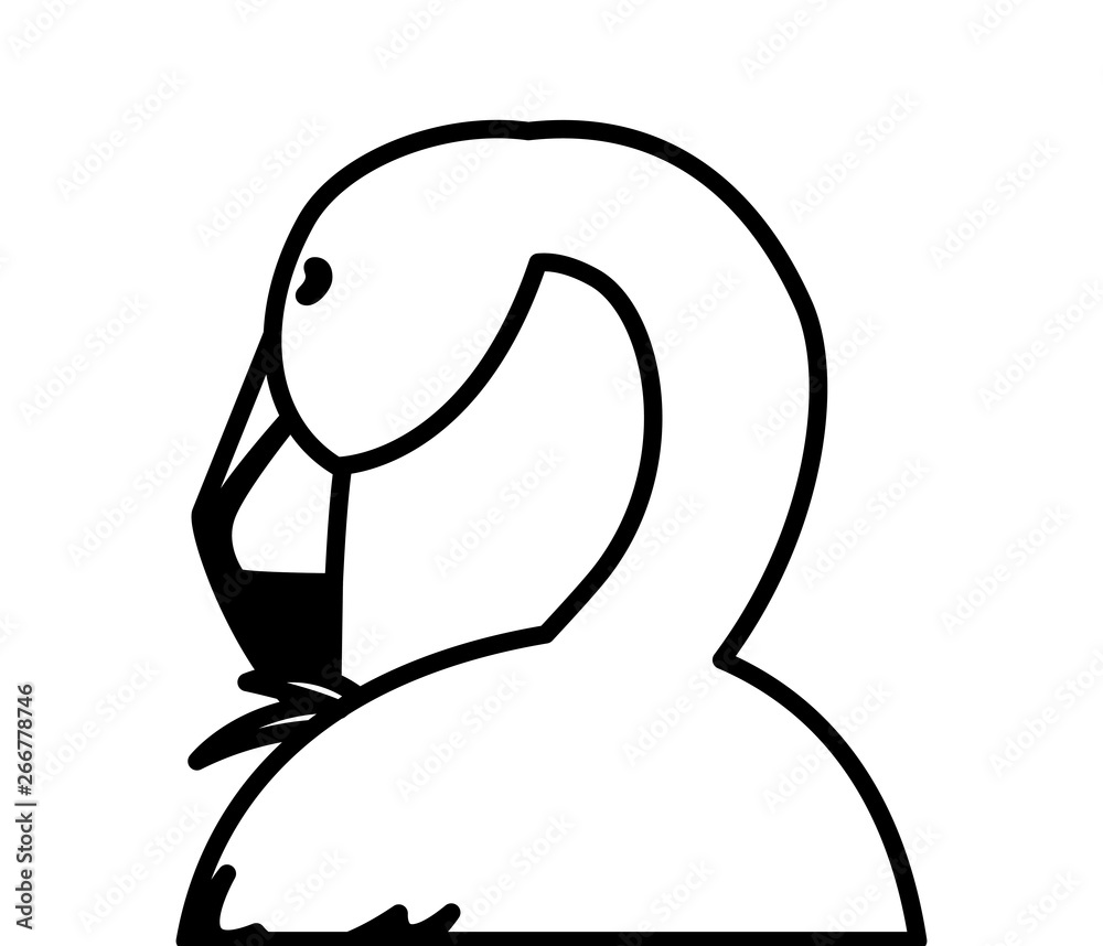 exotic pink flemish bird sleeping exotic pink flemish bird sleeping