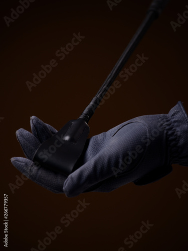 Принти на полотні riding whip in hand on brown background
