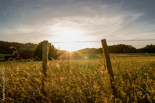 landscape of sunset in front of field with pasture fence