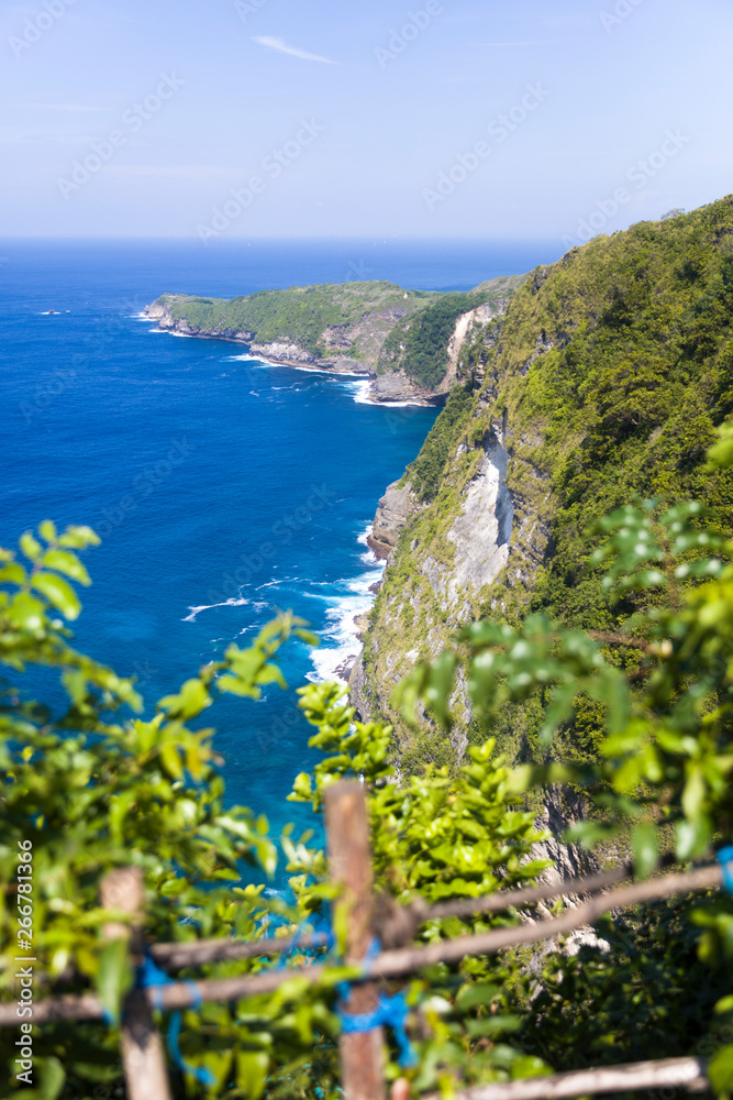 Obraz premium Kelingking beach on the island of Nusa Penida in Indonesia