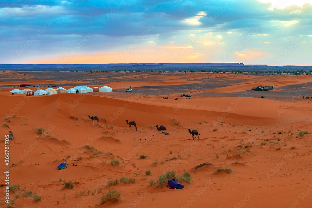 Sunrise in the western part of the Sahara Desert in Morocco. Sunrise in the western part of the Sahara Desert in Morocco.