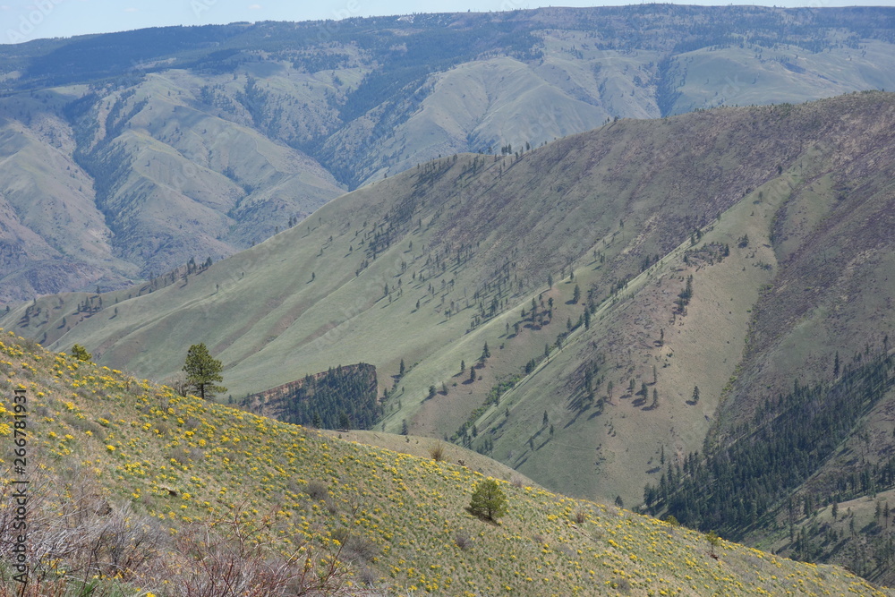 Fototapeta premium Hiking in the Pacific Northwest