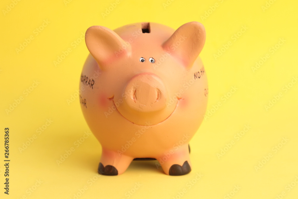 pig ceramic piggy bank with colorful backgrounds