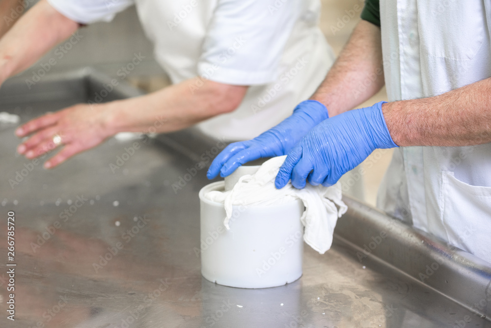 Fototapeta premium Cheese production industry. workers close up preparing cheese raw dough into molds.