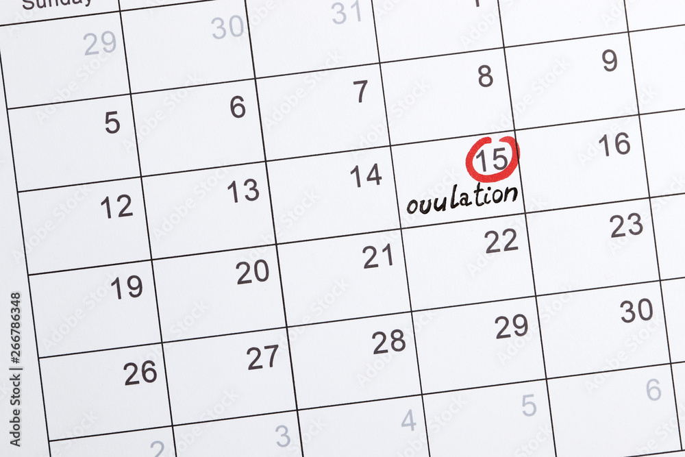 red highlighter with ovulation day mark on calendar, Concept of fertility chart, trying to have baby and natural contraception, Reminder Ovulation in graph with pen, Planning of pregnancy red highlighter with ovulation day mark on calendar, Concept of fertility chart, trying to have baby and natural contraception, Reminder Ovulation in graph with pen, Planning of pregnancy