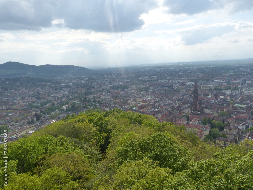 Fototapeta premium fribourg en brisgau