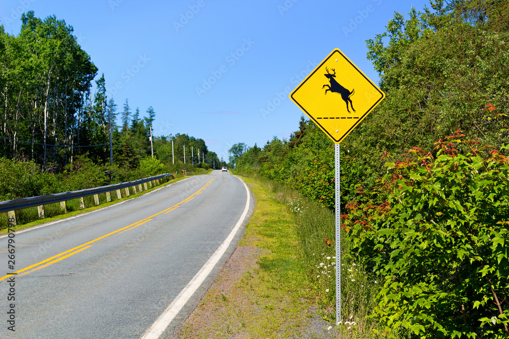 Deer crossing sign on rural highway.