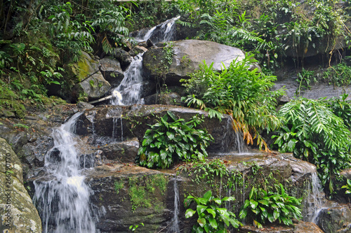 tropical waterfall in atlantic forest