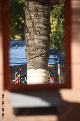 Reflection of Palm Tree in a Mirror in the Market photo