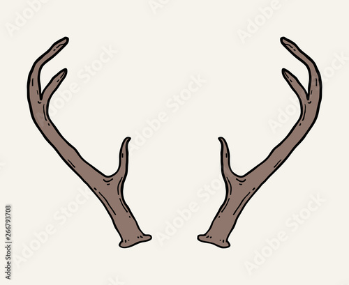 Hand drawn deer antlers