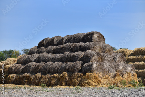 Big haystack from old and not fresh round bales laid in the form of a pyramid against the blue sky