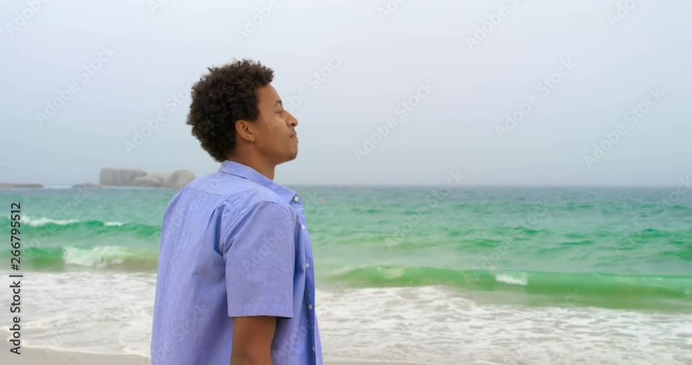 Side view of African American man standing on the beach 4k Side view of African American man standing on the beach 4k