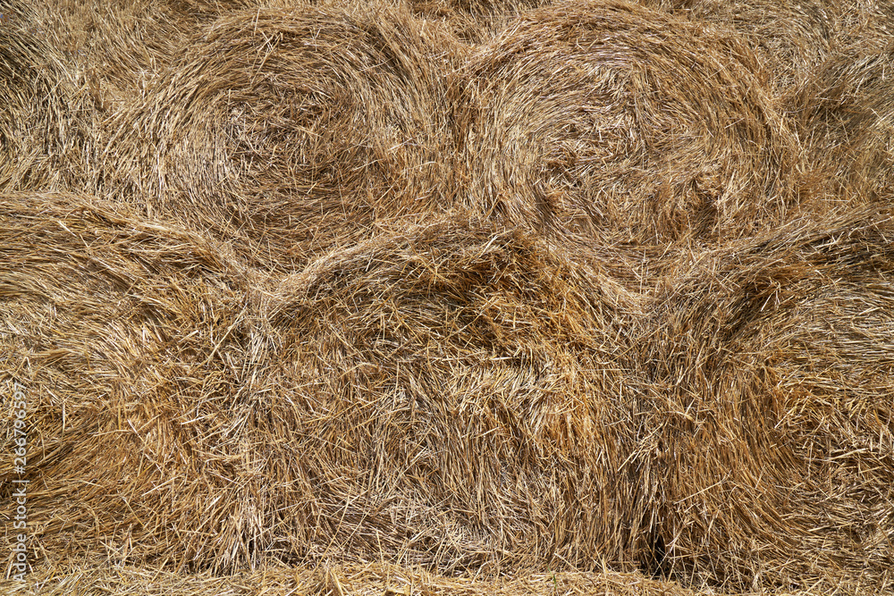 Texture of haystacks from round bales on a sunny day. Close-up Texture of haystacks from round bales on a sunny day. Close-up