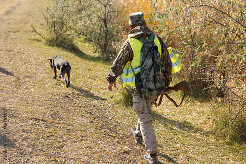 Hunters with a german drathaar and spaniel, pigeon hunting with dogs in reflective vests  © Mountains Hunter